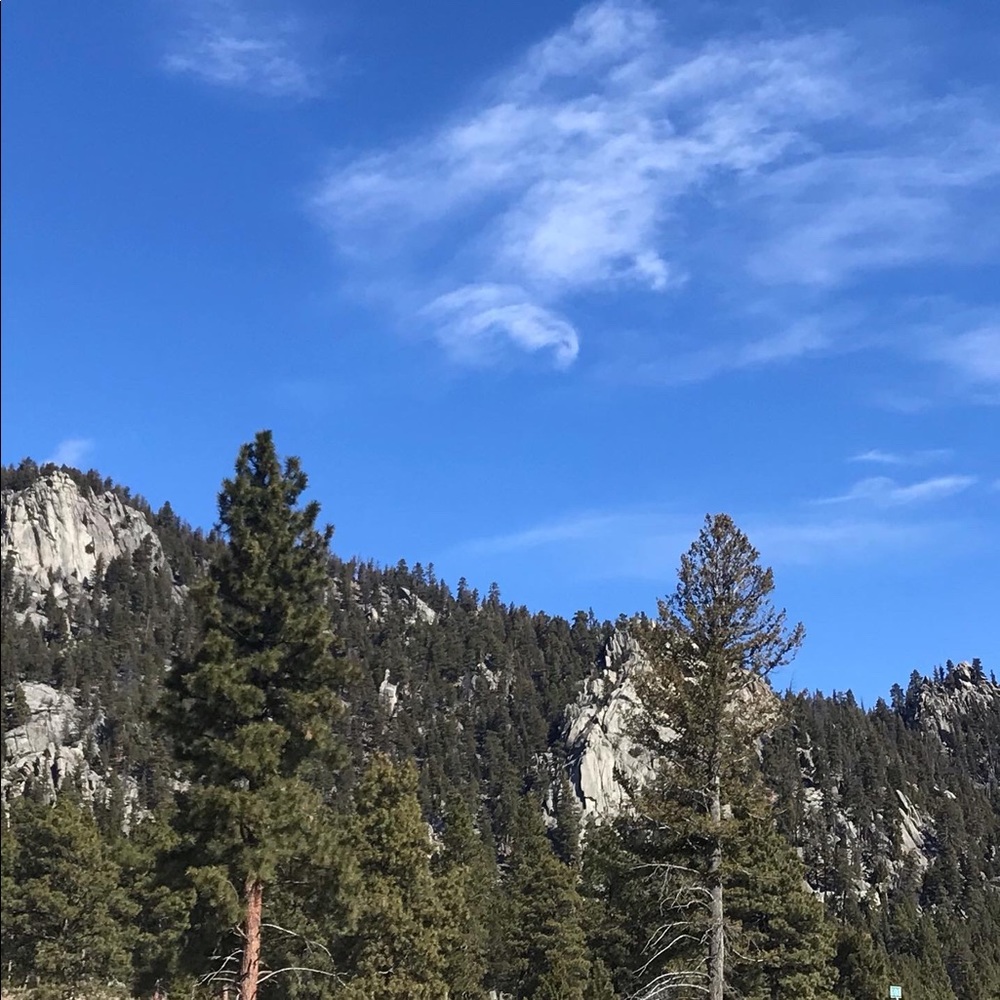 Meet your Posher, Anne